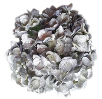 Close-up of Metallic Glitter Silver Hydrangea bloom with shimmering silver petals, perfect for elegant holiday, winter, or gala floral designs.